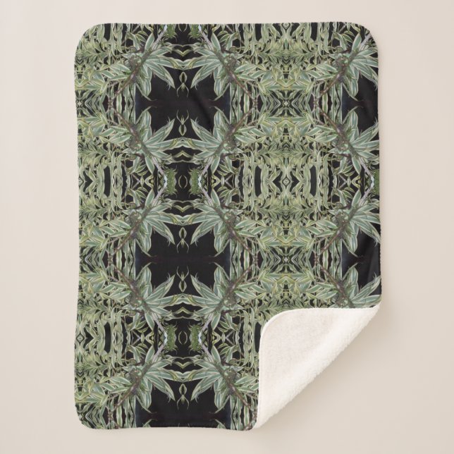 Manta Sherpa pájaro del tarareo en una jerarquía (Anverso)