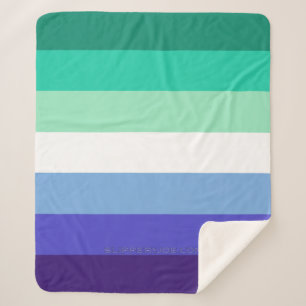 Manta Sherpa Paleta de la bandera de hombres gays trans-inclusi