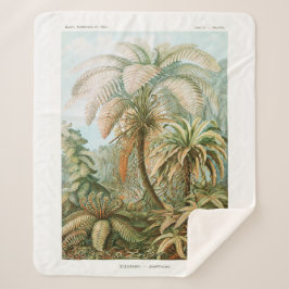 Manta Sherpa Palm Tree Ernst Haeckel