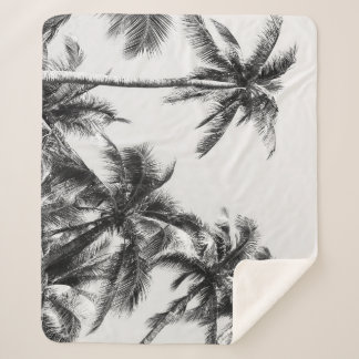 Manta Sherpa Palm Tree Leaf Black White