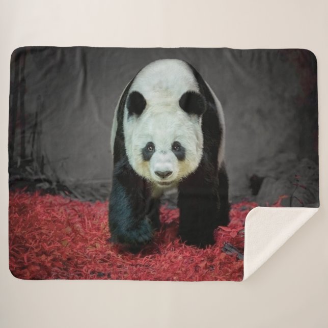 Manta Sherpa Panda Bear (Anverso (horizontal))