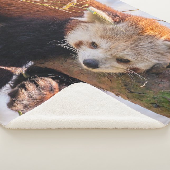 Manta Sherpa Panda rojiza perezosa (3/4)