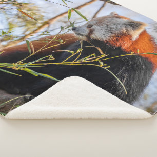 Manta Sherpa Panda rojo
