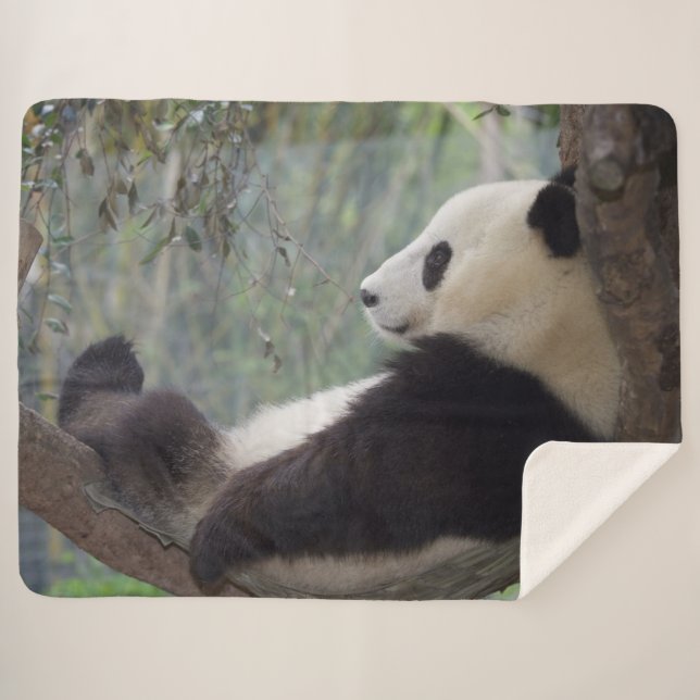 MANTA SHERPA PANDA SNOOZE (Anverso (horizontal))