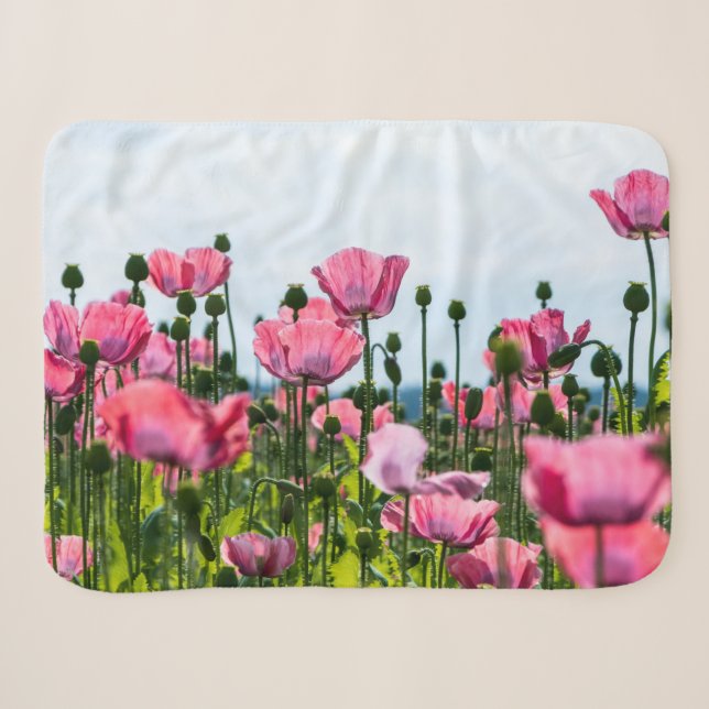 Manta Sherpa Papas rosadas (Anverso (horizontal))