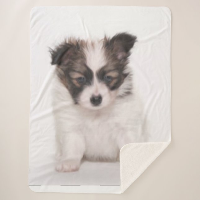 MANTA SHERPA PAPILLON PUPPY (Anverso)