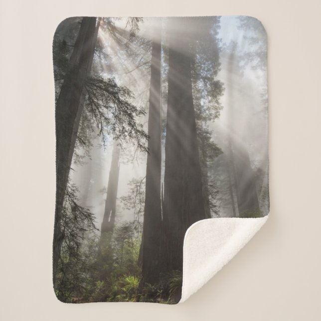 Manta Sherpa Parque nacional Redwood California (Anverso)