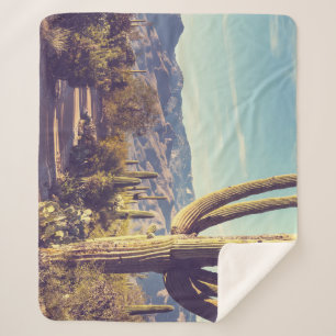 Manta Sherpa Parque Nacional Saguaro, representación escénica.
