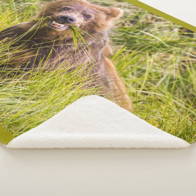 Manta Sherpa Pastoreo parduzco, Alaska (3/4)