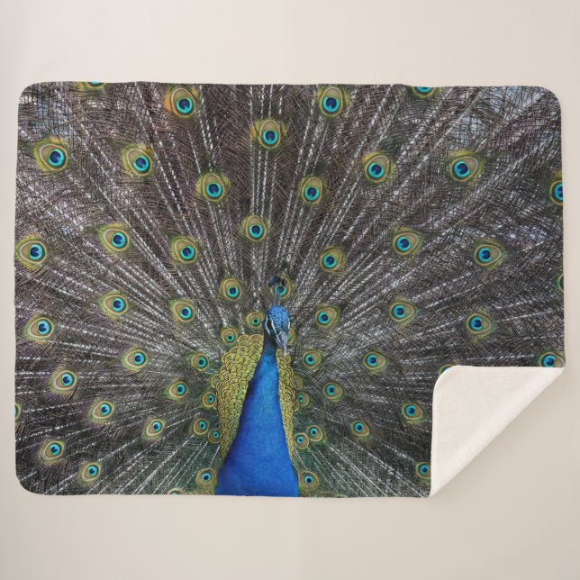 Manta Sherpa pavo real (Anverso (horizontal))