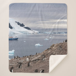 MANTA SHERPA PENGUINS BESIDE SEA
