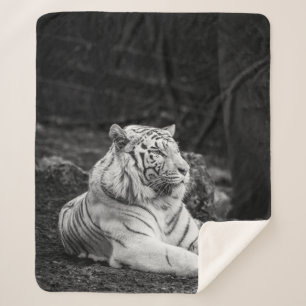 MANTA SHERPA PENSAMIENTO MÁS GRANDE