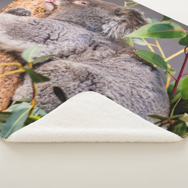 Manta Sherpa Pequeña koala dulce (3/4)