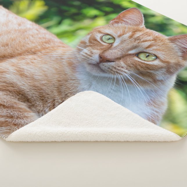 Manta Sherpa Pequeño gatito dulce (3/4)