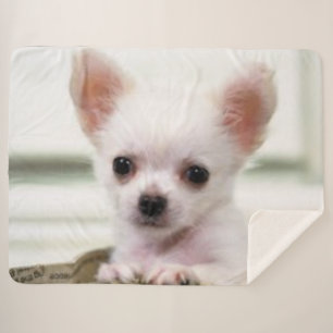 MANTA SHERPA PERRITO DE LA CHIHUAHUA