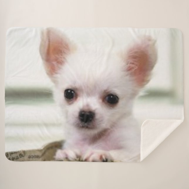 MANTA SHERPA PERRITO DE LA CHIHUAHUA (Anverso (horizontal))