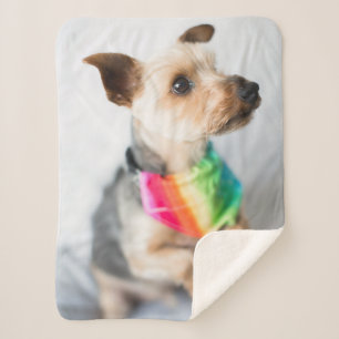Manta Sherpa Perro arco iris del orgullo gay  Yorkshire Terrier