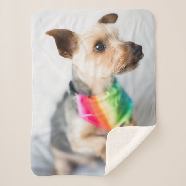 Manta Sherpa Perro arco iris del orgullo gay| Yorkshire Terrier (Anverso)