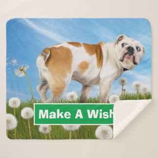 Manta Sherpa Perro con Dandelion