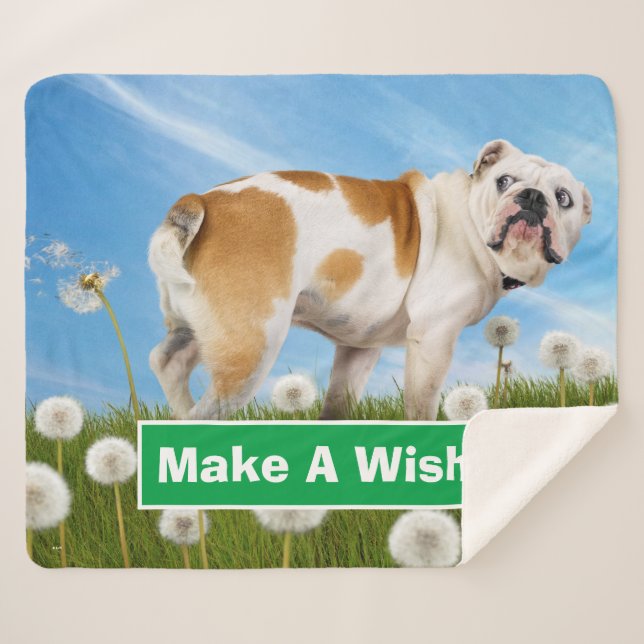 Manta Sherpa Perro con Dandelion (Anverso (horizontal))