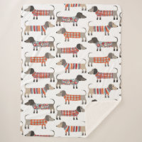 Perro Dachshund Sausage