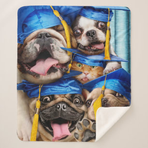 Manta Sherpa Perros y gatos graduados en cabina de fotos