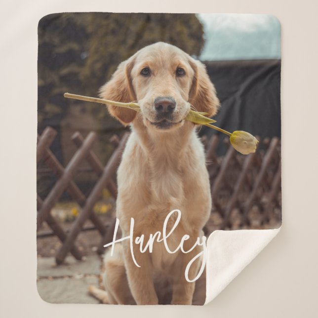 Manta Sherpa Personalized Custom Photo And Text (Anverso)