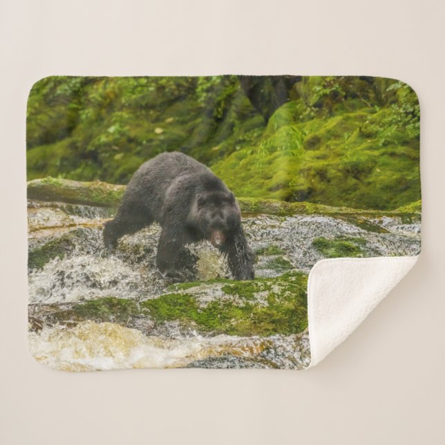 Manta Sherpa Pesca de oso negro | Qua Creek British Columbia (Anverso (horizontal))
