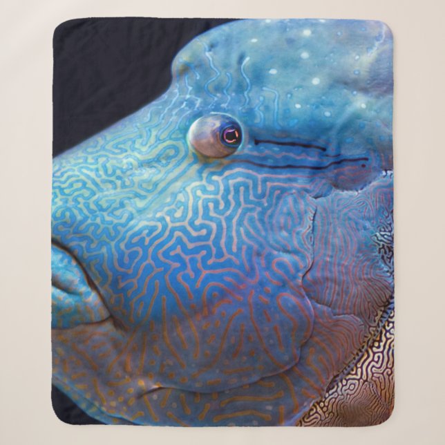 Manta Sherpa Pescado azul (Anverso)