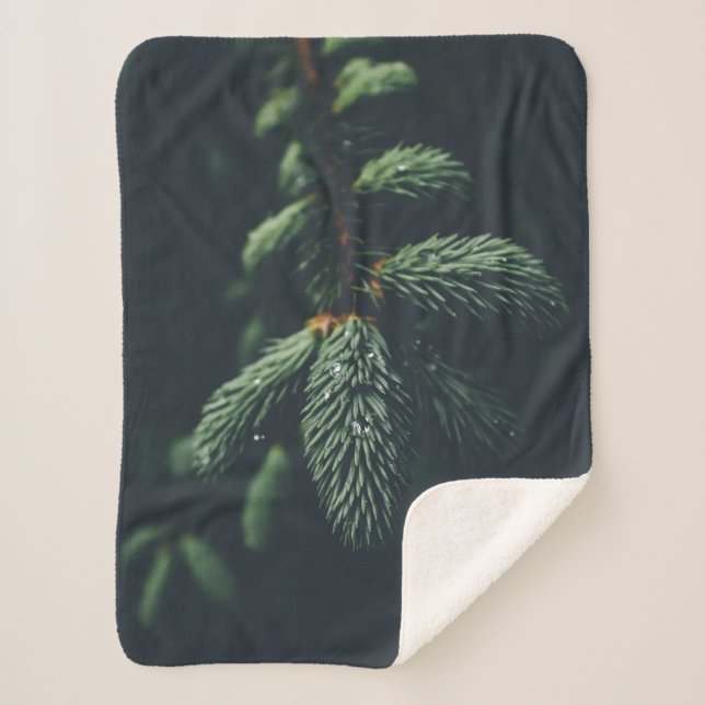 MANTA SHERPA PINE CONES (Anverso)