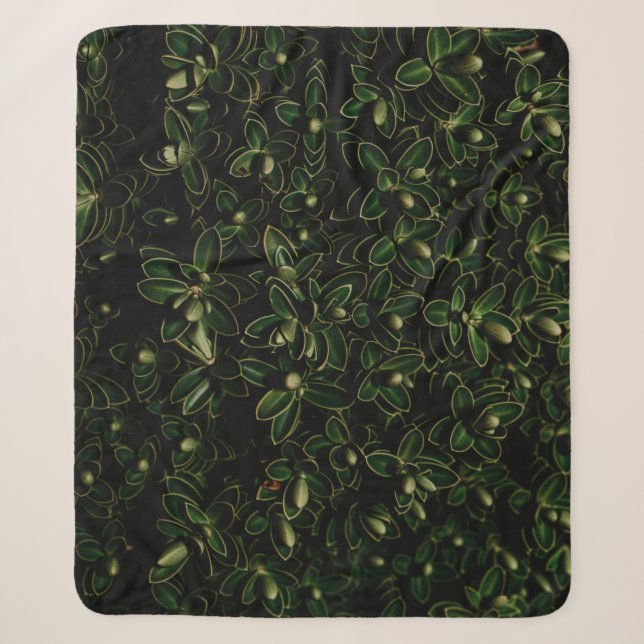 Manta Sherpa Planta de hoja verde (Anverso)