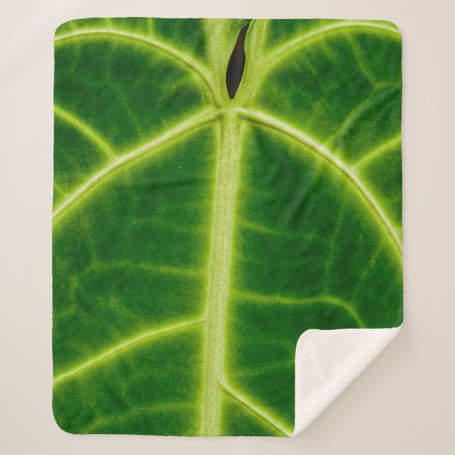 Manta Sherpa Planta de hojas verdes (Anverso)