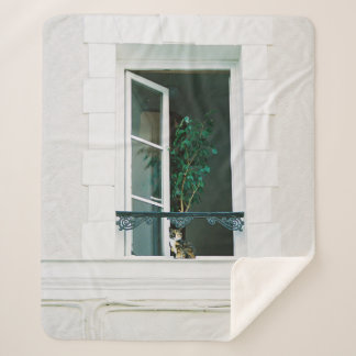 MANTA SHERPA PLANTA VERDE EN LA VENTANA BLANCA