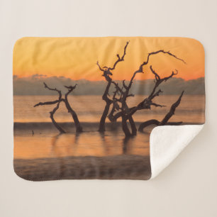 Manta Sherpa Playa Driftwood al amanecer Jekyll Island Georgia