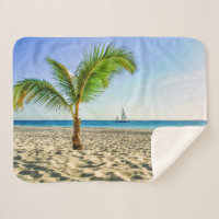 Playas tropicales | Barco de vela, palmera, Aruba