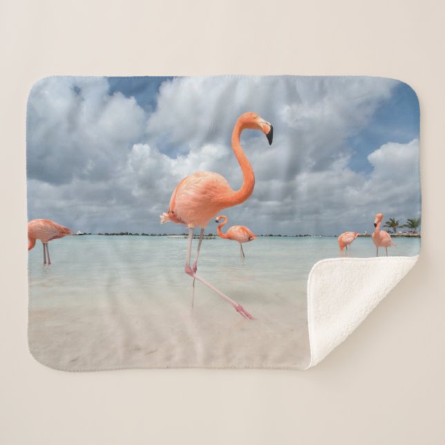 Manta Sherpa Playas tropicales | Playa Flamingos, Aruba (Anverso (horizontal))