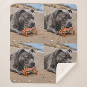 Manta Sherpa "Playside Pals: un Staffy y su compañero de cangre