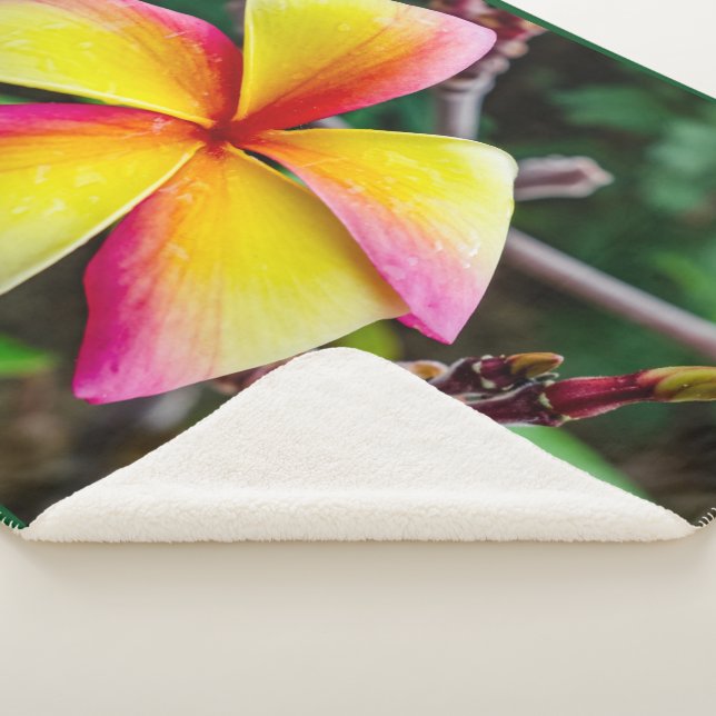 Manta Sherpa Plumeria rubra (3/4)