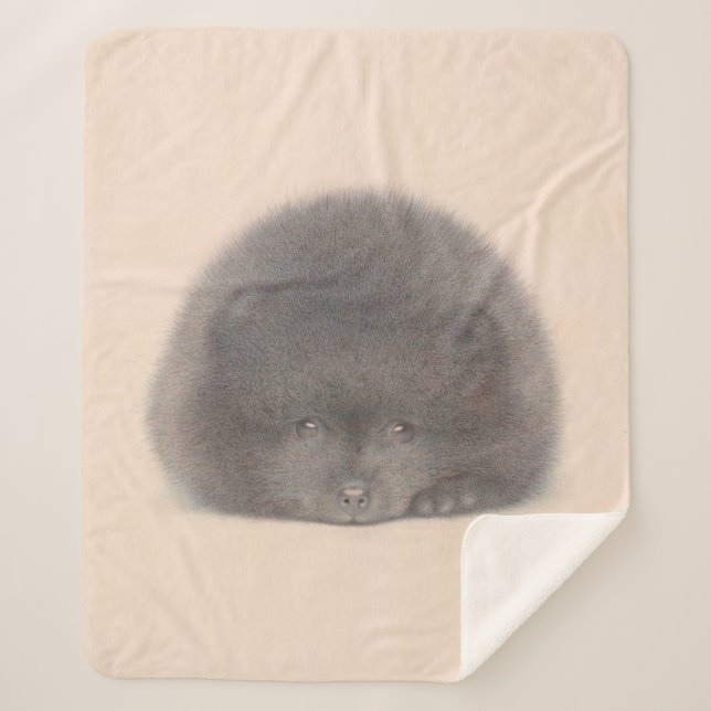 Manta Sherpa Pomerania negra (Anverso)