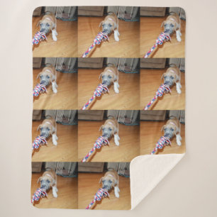 Manta Sherpa Poppy El Tiempo De Reproducción De Cachorro De Tor