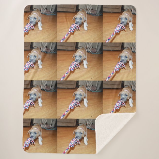 Manta Sherpa Poppy El Tiempo De Reproducción De Cachorro De Tor (Anverso)