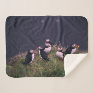 Manta Sherpa Puffins atlánticos