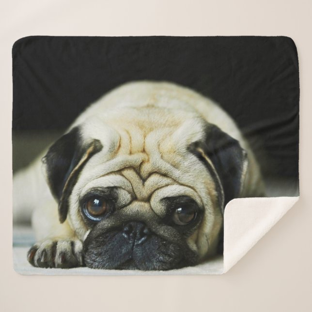 Manta Sherpa Pug (Anverso (horizontal))