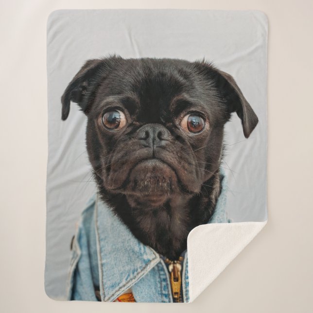 Manta Sherpa PUG en DENIM (Anverso)