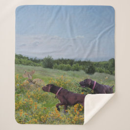 Manta Sherpa Punteros de corto alcance alemanes