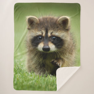 MANTA SHERPA RACCOON BABY