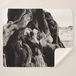 Manta Sherpa Raíces de árbol blanco y negro