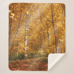 Manta Sherpa Rays de oro del bosque de otoño Sherpa Blanket