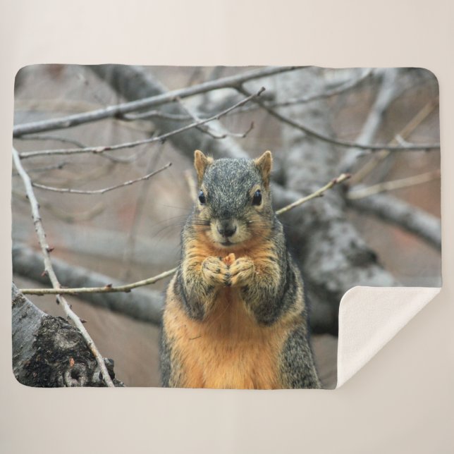 MANTA SHERPA RED SQUIRRL (Anverso (horizontal))