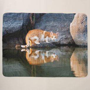 Manta Sherpa Reflexión de gato en foto de gatitos graciosos de